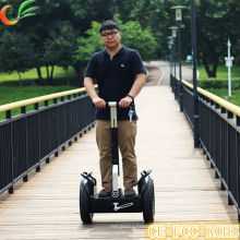 Wholesales Li-ion Battery Electric Scooter for Kids